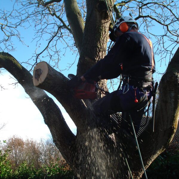 Onderhoud 1 Onderhoud 1